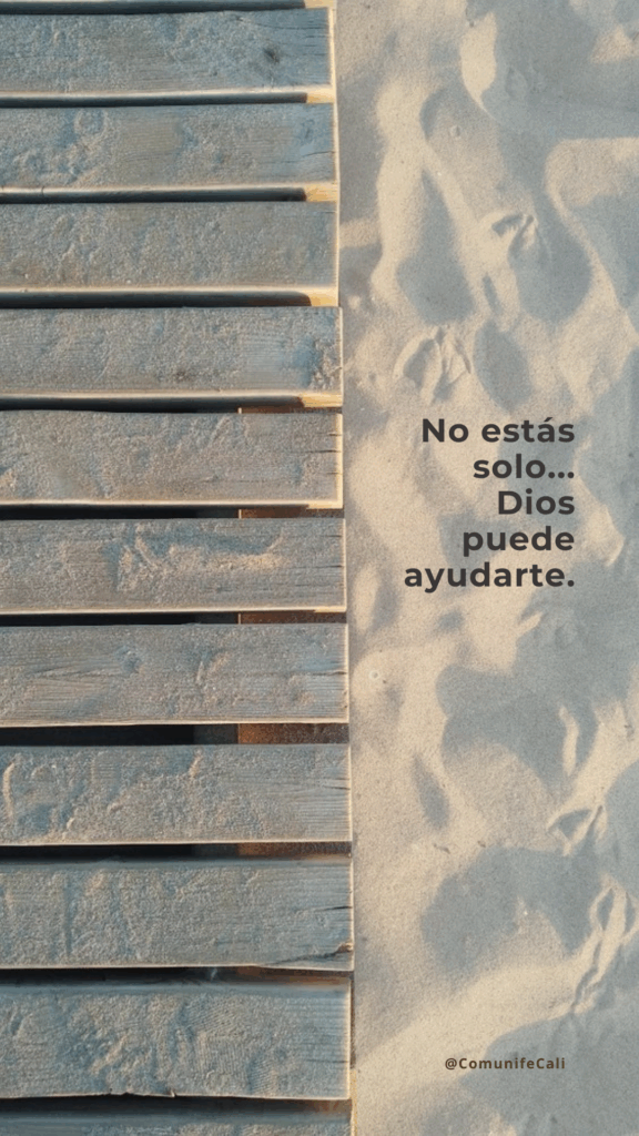 GUÍA DE LECTURA DEVOCIONAL
Lectura consecutiva libro de los SALMOS