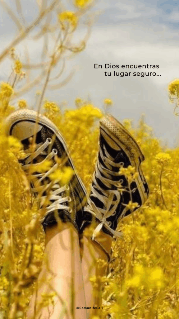 GUÍA DE LECTURA DEVOCIONAL
Juntos leamos la Biblia este año